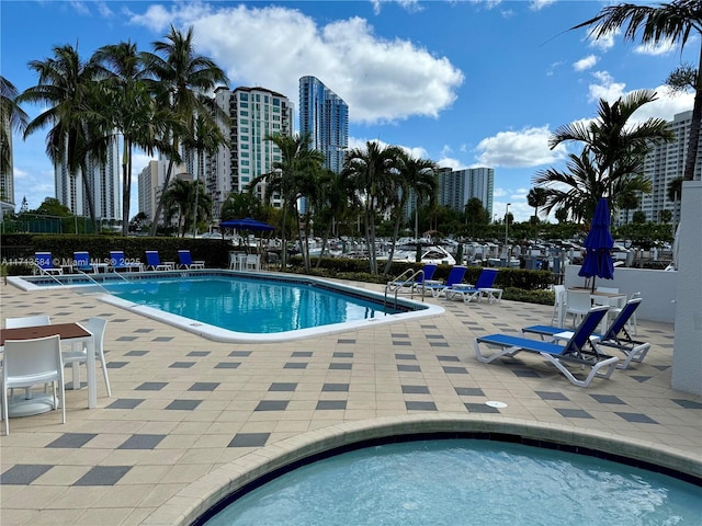 view of swimming pool with a patio