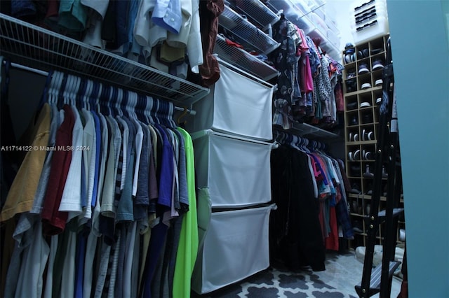 view of spacious closet