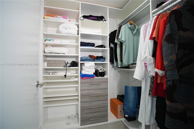 view of spacious closet