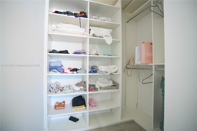 view of walk in closet