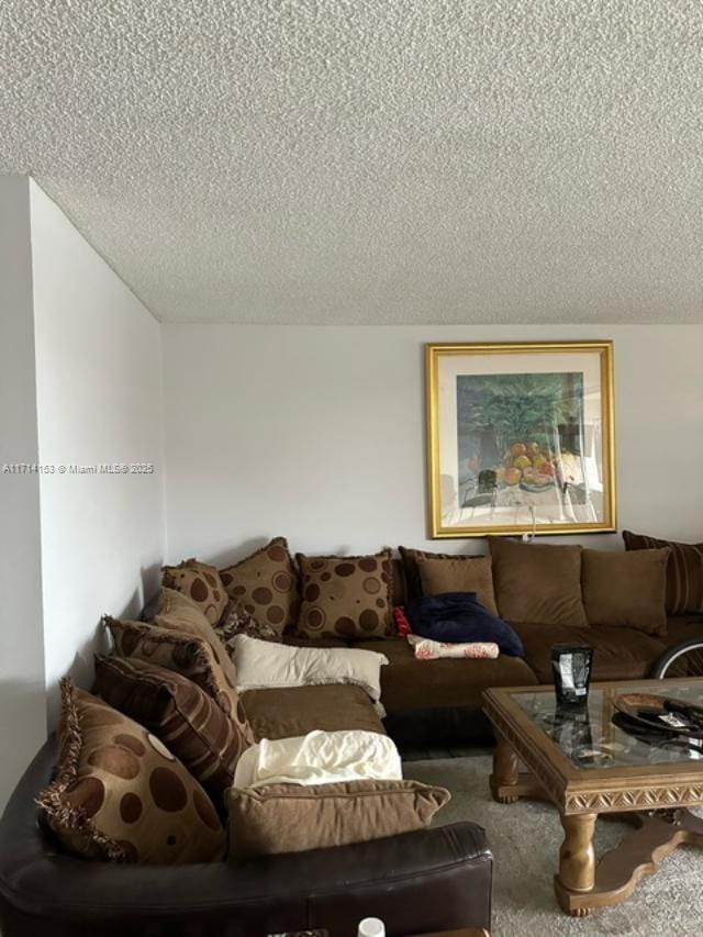 carpeted living room with a textured ceiling