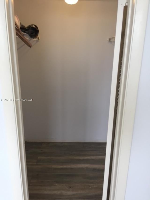 walk in closet with dark wood-style flooring