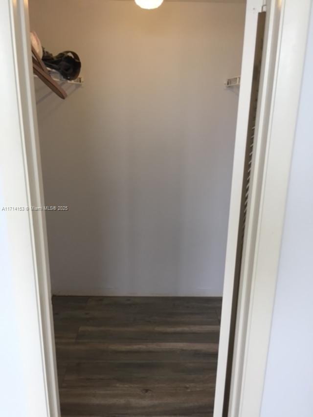 spacious closet with dark hardwood / wood-style floors