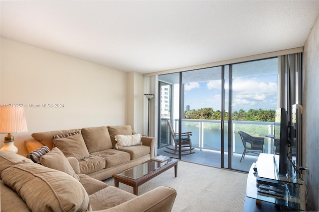 living room with a wall of windows