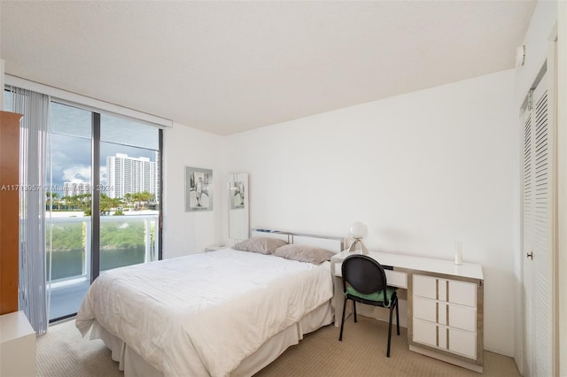 bedroom featuring light carpet, a closet, multiple windows, and floor to ceiling windows