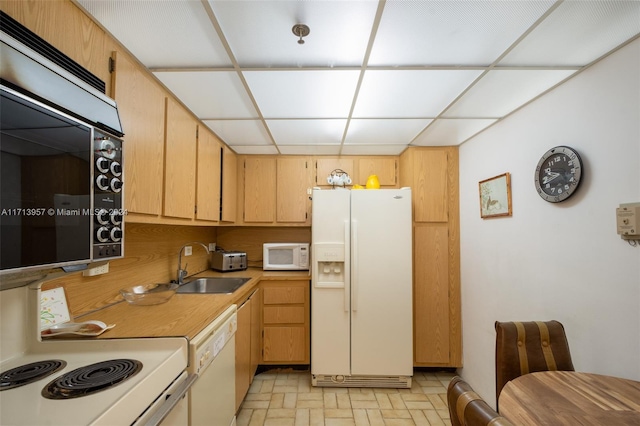 kitchen with light brown cabinetry, white appliances, a drop ceiling, and sink