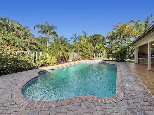 view of pool with a patio