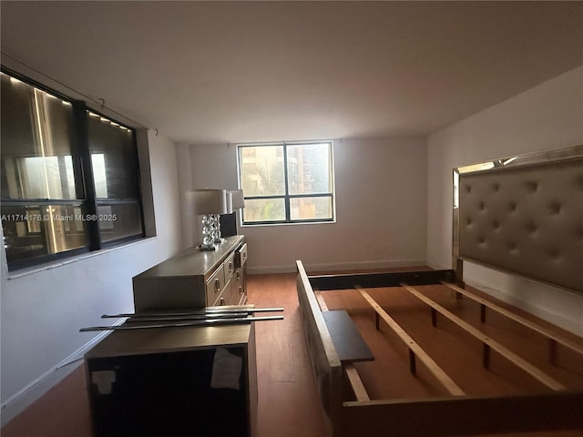 interior space with dark wood-type flooring