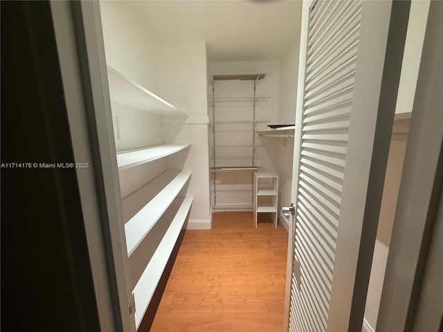 spacious closet featuring light hardwood / wood-style flooring