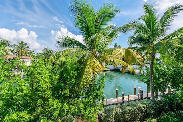 water view with a boat dock