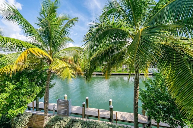 dock area with a water view