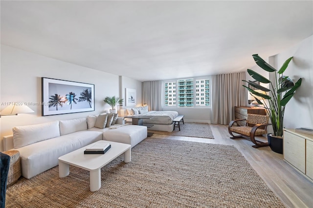 living room with light hardwood / wood-style floors