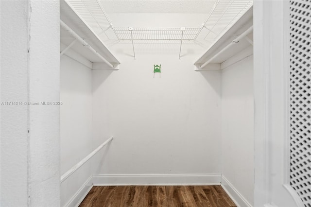 spacious closet with dark hardwood / wood-style flooring