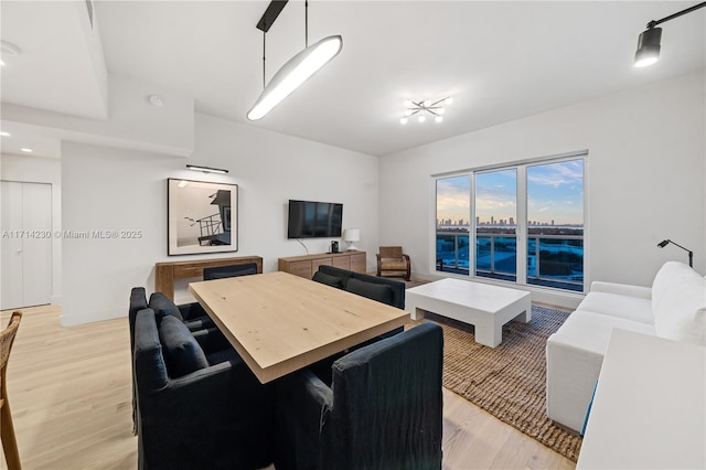 living room with light hardwood / wood-style flooring