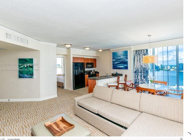 carpeted living room with sink, a water view, a textured ceiling, and ornamental molding