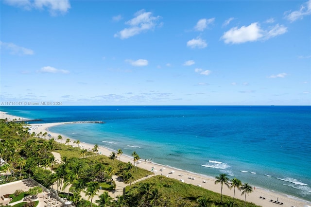 water view featuring a beach view