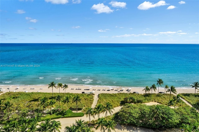 water view with a view of the beach