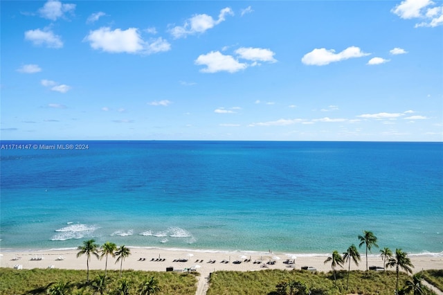 water view featuring a view of the beach