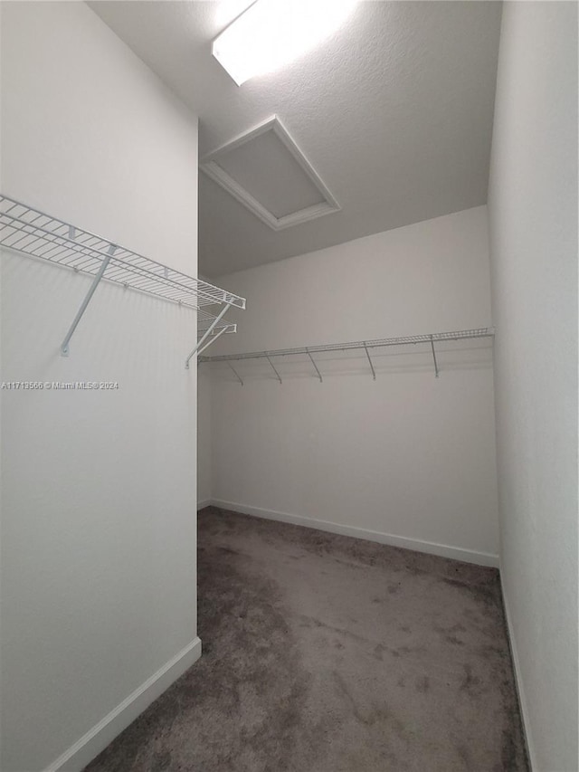 walk in closet featuring dark carpet