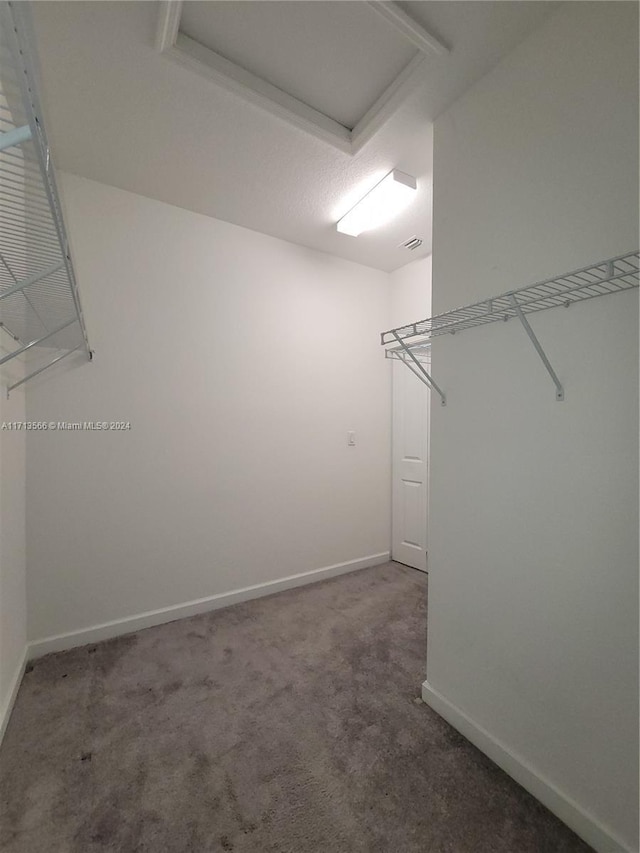 spacious closet with carpet flooring