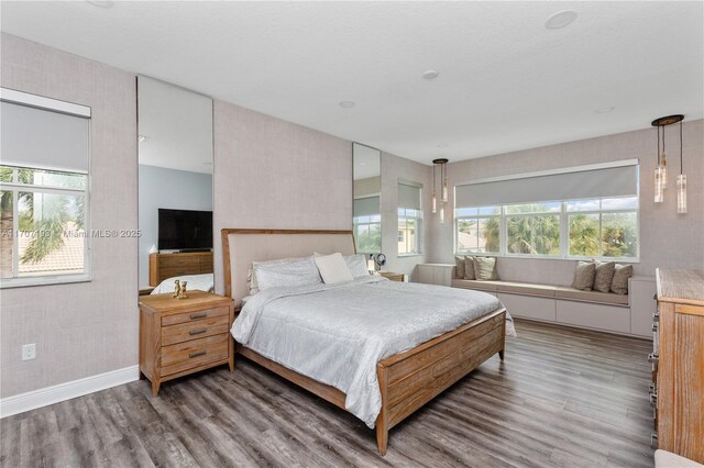 10410 Ranchette Dr, Cooper City, FL 33328 - bedroom with wood finished floors and multiple windows