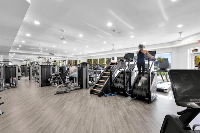 exercise room with light wood-type flooring and ceiling fan