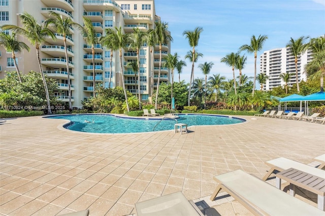 view of pool with a patio