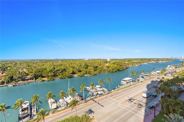 aerial view with a water view