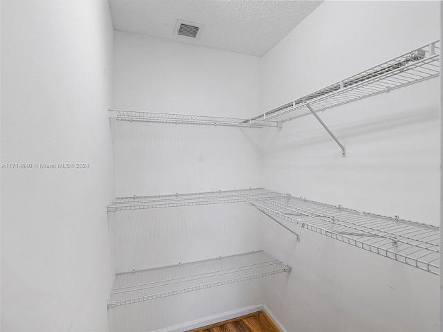 spacious closet with wood-type flooring