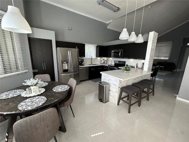 kitchen with stainless steel appliances, dark cabinetry, a sink, and hanging light fixtures