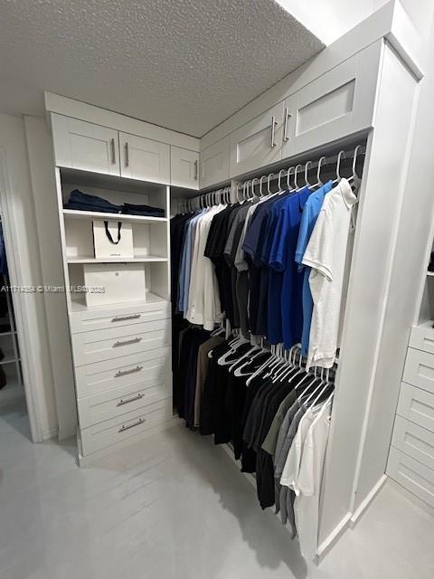 view of walk in closet