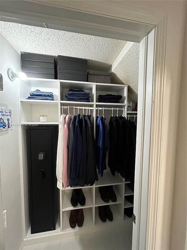 view of closet