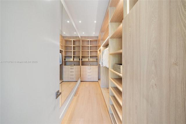 walk in closet featuring hardwood / wood-style flooring