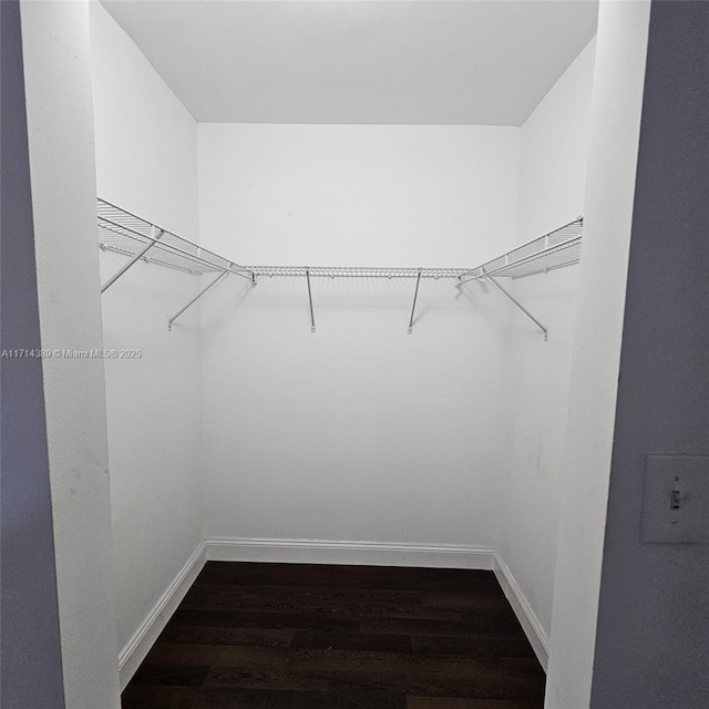 spacious closet with dark wood-style flooring