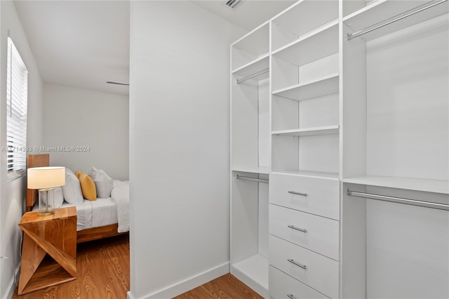 spacious closet with light hardwood / wood-style floors