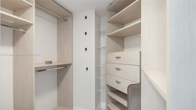 view of spacious closet
