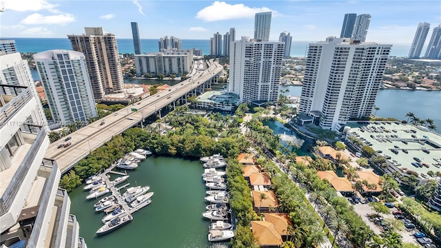 drone / aerial view featuring a view of city and a water view