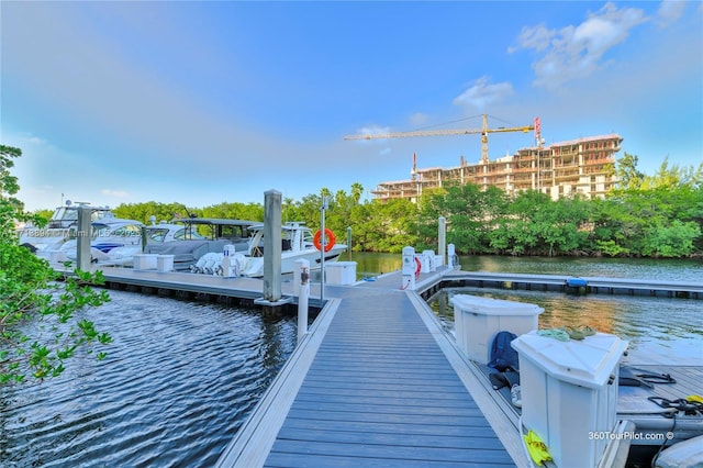 dock area with a water view