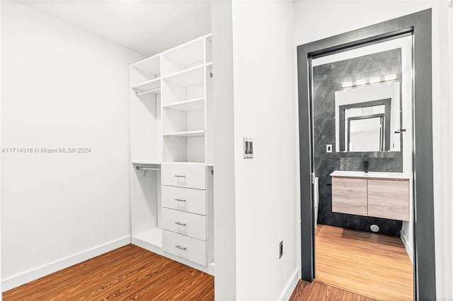 walk in closet with wood-type flooring