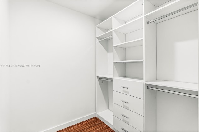 spacious closet featuring dark wood-type flooring