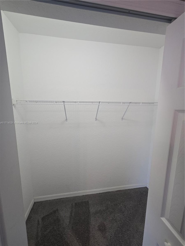 walk in closet featuring carpet floors