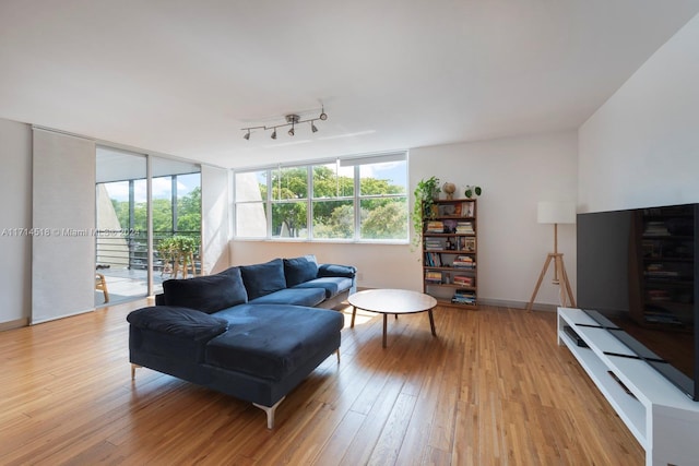 living room with track lighting and light wood-type flooring