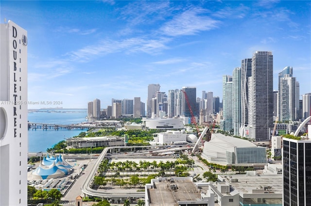 1750 N Bayshore Dr Unit 3210, Miami, FL 33132 - skyline view with a nearby body of water