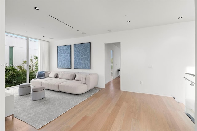 living room with expansive windows and light hardwood / wood-style floors