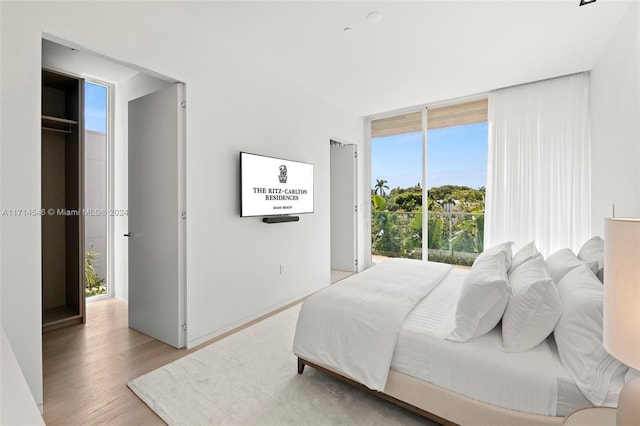 bedroom featuring a wall of windows and light wood-type flooring