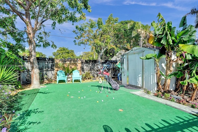 view of yard featuring a storage shed