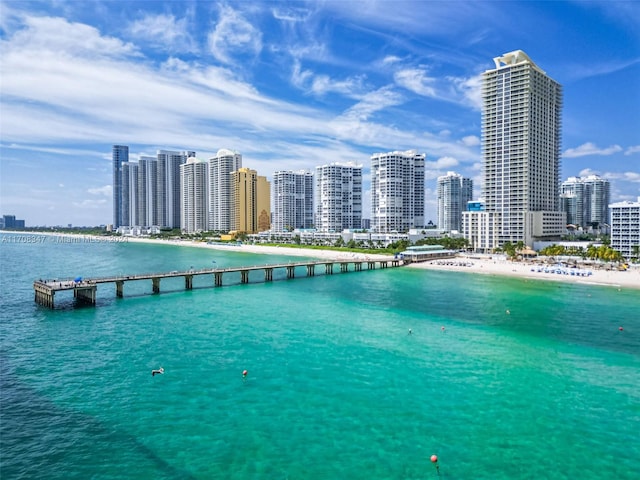 property view of water with a view of the beach