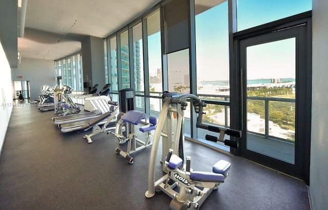 exercise room with floor to ceiling windows and a healthy amount of sunlight