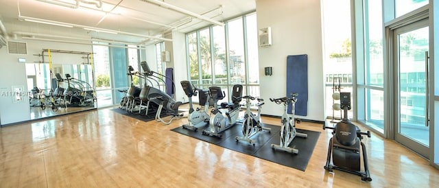 gym featuring hardwood / wood-style flooring, plenty of natural light, and floor to ceiling windows