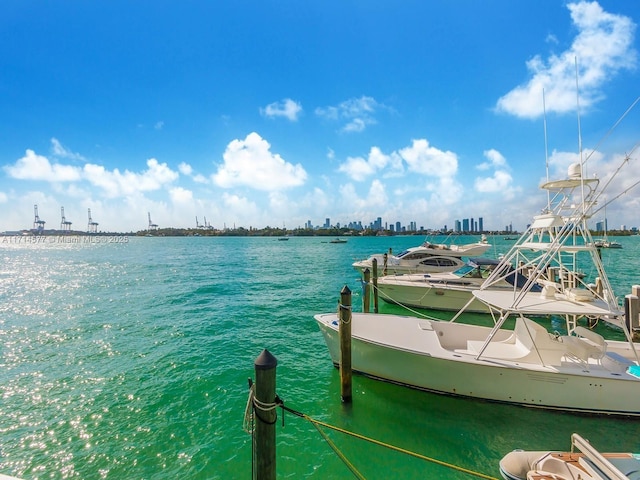 dock area featuring a water view